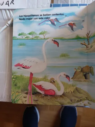 Animales en la selva