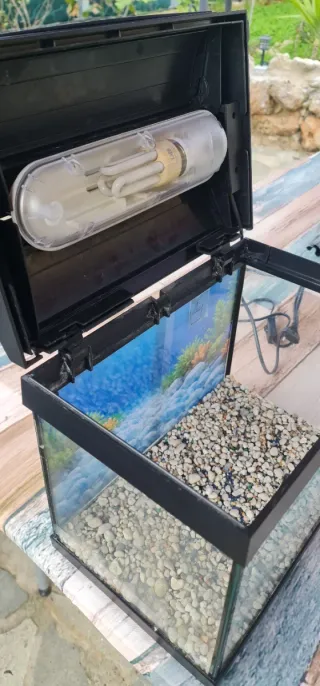 Acuario 20L Negro y Transparente Marca Hailea