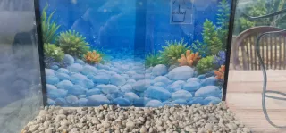 Acuario 20L Negro y Transparente Marca Hailea