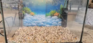 Acuario 20L Negro y Transparente Marca Hailea