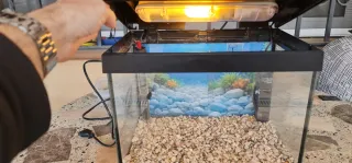 Acuario 20L Negro y Transparente Marca Hailea