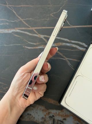 iPhone 13 Pro Max 256GB Plata