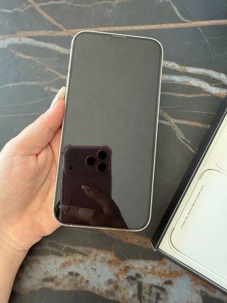 iPhone 13 Pro Max 256GB Plata