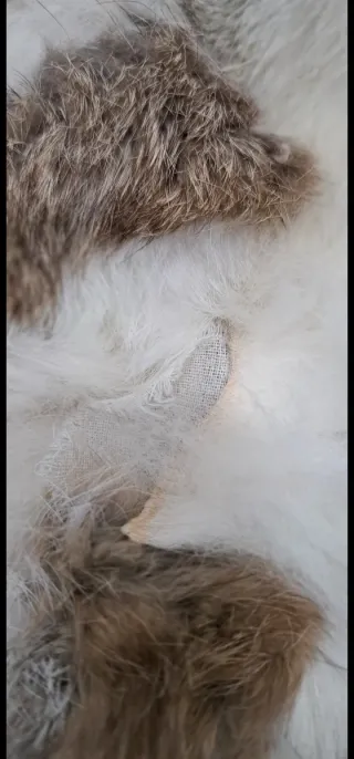 Bomber Mango Piel Beige Multicolor