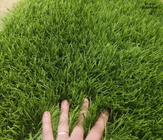 Césped artificial reciclado