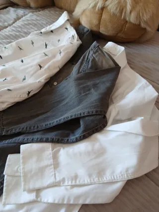 Lote 3 camisas niño manga larga T10