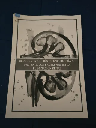 Apuntes Enfermería Adulto 2