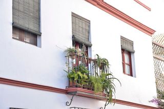 Piso en alquiler en San Lorenzo en Sevilla