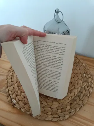 Persiguiendo a Silvia / Chasing Silvia (Silvia ...