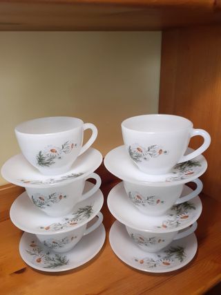 Juego de 6 tazas y platillos de margaritas