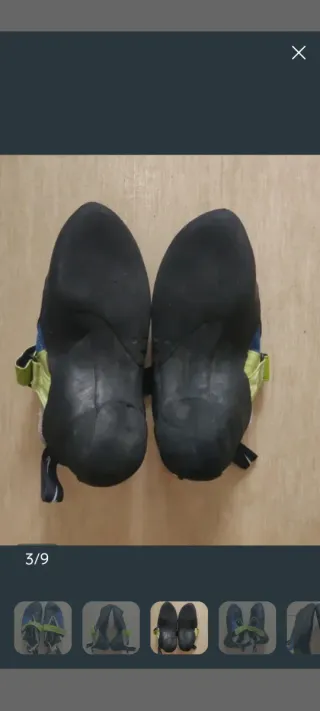 Zampe di gatto Evolve Nexxo