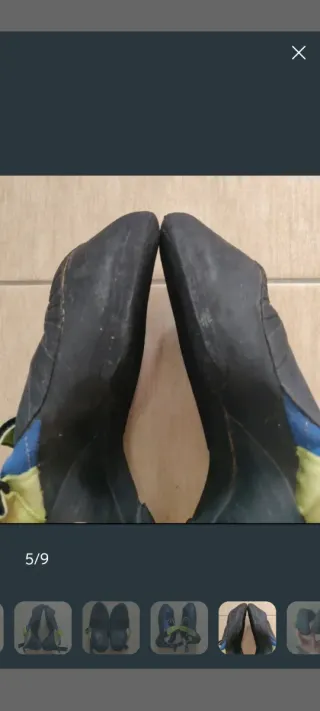 Zampe di gatto Evolve Nexxo