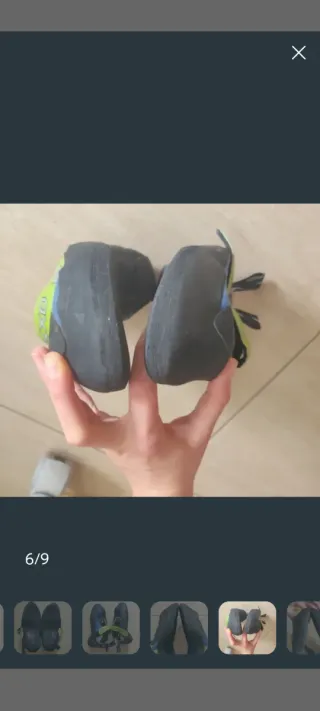 Zampe di gatto Evolve Nexxo