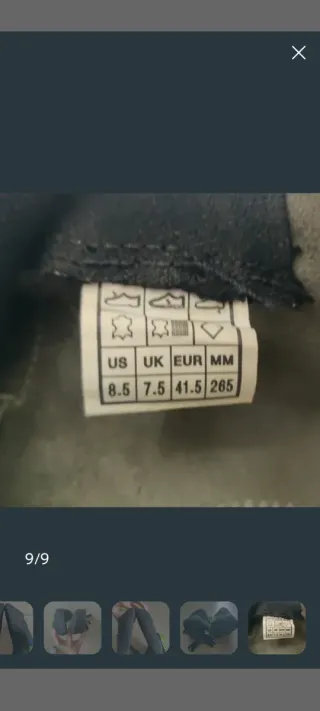 Zampe di gatto Evolve Nexxo