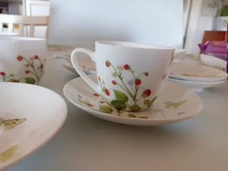 Juego de café/té porcelana flores y mariposas