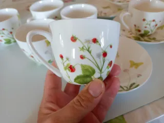 Juego de café/té porcelana flores y mariposas