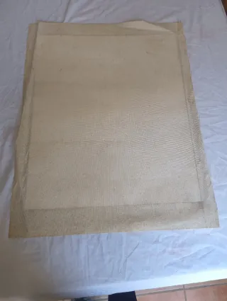 Lámina Diego Rivera Flores