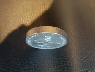 Moneda Panda China 1 oz Titanio 99.95%