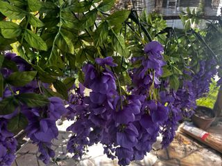 10 Plantas Artificiales Glicina Azul