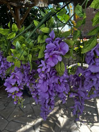 10 Plantas Artificiales Glicina Azul