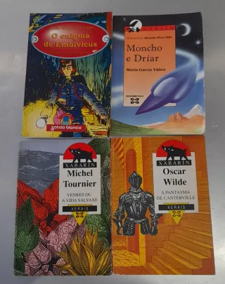 Lote de 4 libros en gallego