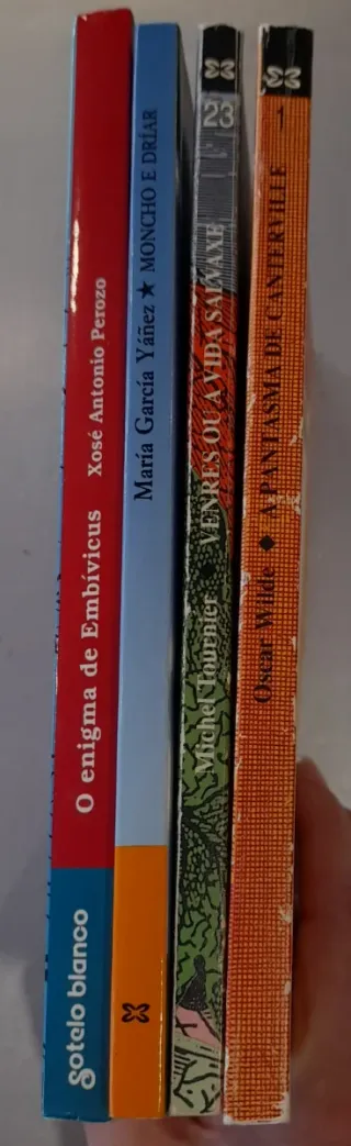 Lote de 4 libros en gallego