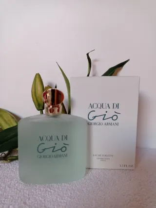 Giorgio Armani Acqua di Gio Eau de Toilette 100 ML