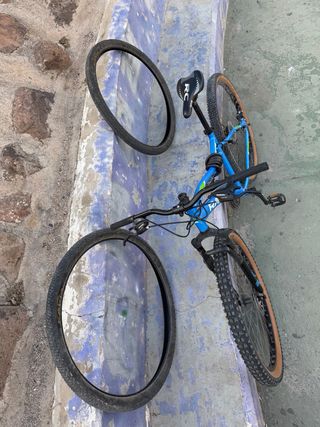 Bicicleta