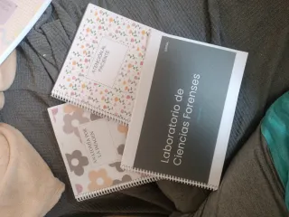 Resúmenes Imagen para el diagnóstico de Ilerna