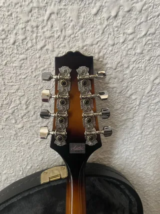 Mandolina Ashton con funda