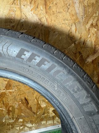 Neumático Goodyear EfficientGrip 205/55R16 91V