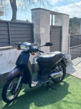 Honda Scoopy SH 50 1999