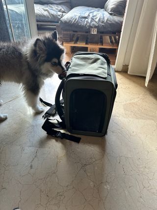 Mochila transportín perro pequeño