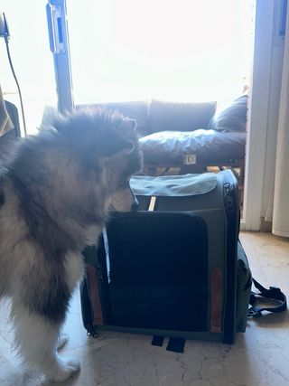 Mochila transportín perro pequeño