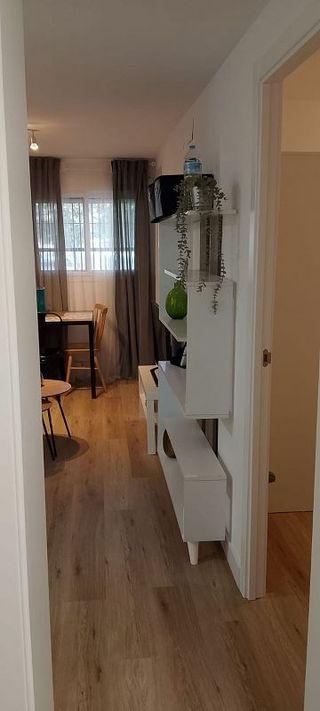 Piso en alquiler en Parque María Luisa - Huerta de la Salud - Giralda Sur en Sevilla