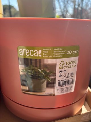 Macetas + Platos Botanic Multicolor