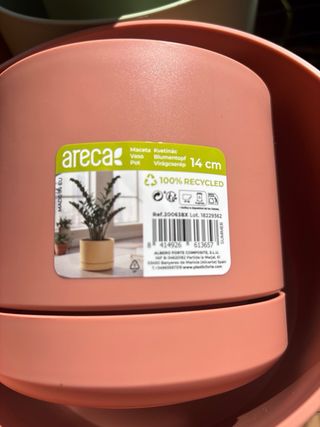 Macetas + Platos Botanic Multicolor