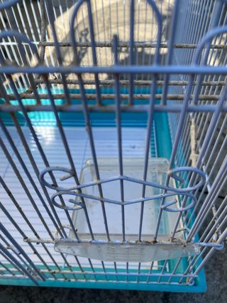 Jaula grande pájaros con accesorios