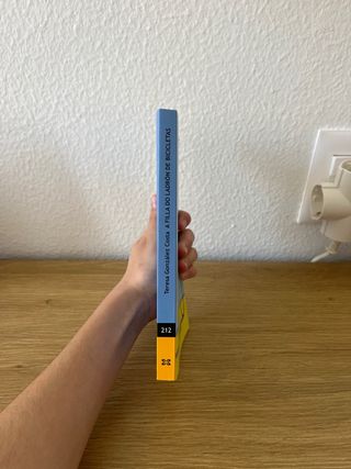 A filla do ladrón de bicicletas