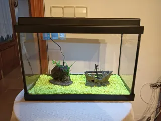 Pecera 25L con depuradora, luces y decoración