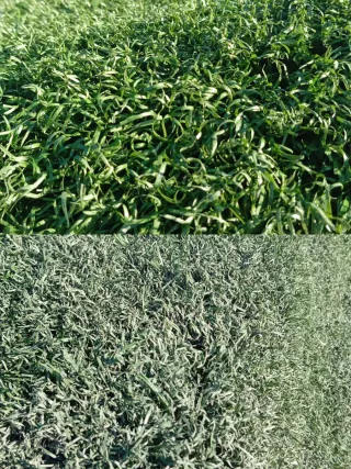 Césped artificial reciclado