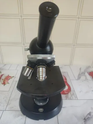 Microscopio Zeiss Winkel años 50