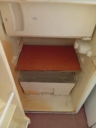 Nevera 100L con Congelador