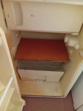 Nevera 100L con Congelador