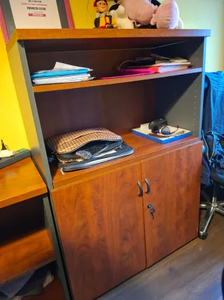 Muebles oficina estudio: escritorio y estanterias