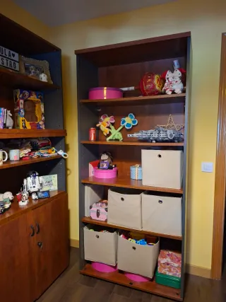 Muebles oficina estudio: escritorio y estanterias