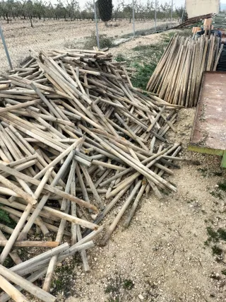 Palos de madera para tutores
