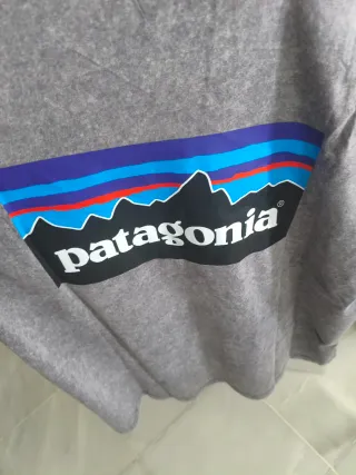 Camiseta Patagonia Gris