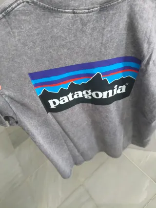 Camiseta Patagonia Gris