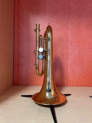 Corneta Oqan OCT-200 2 pistones